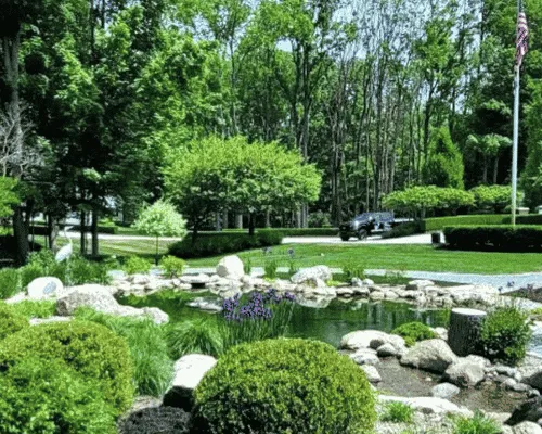 Large Pond Filtration Detroit