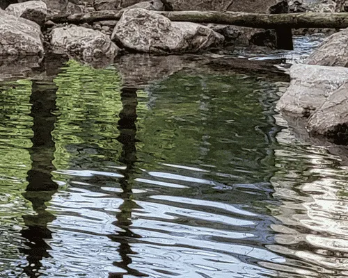 Large Pond Filtration Detroit