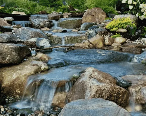 Large Pond Filtration Detroit