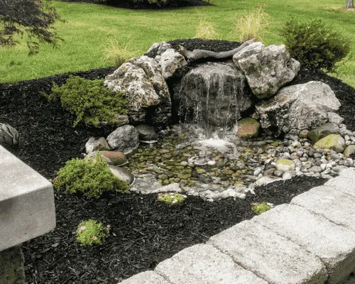 Large Pond Filtration Detroit