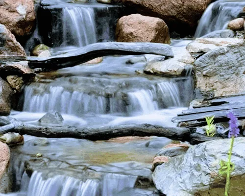 Pond Building & Remodeling Detroit
