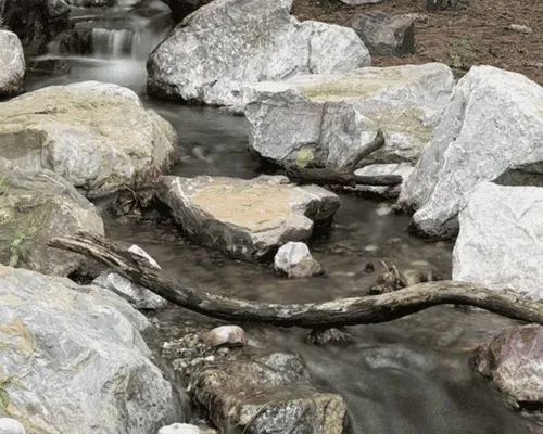 Fountain Aeration Detroit