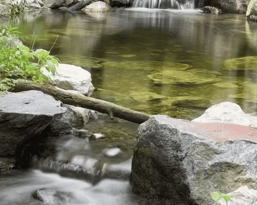 Pond Building & Remodeling Detroit