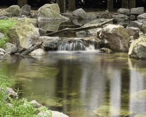 Large Pond Filtration Detroit