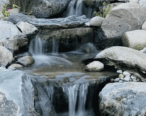Pond Building & Remodeling Detroit