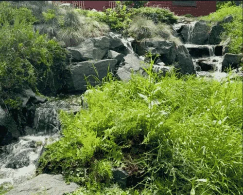 New Water Features Detroit