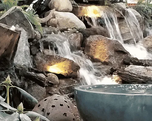 Large Pond Filtration Detroit