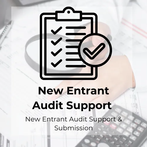 New Entrant Audit