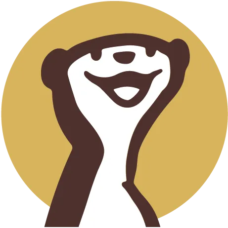 KZD Meerkat Authentische Sichtbarkeit