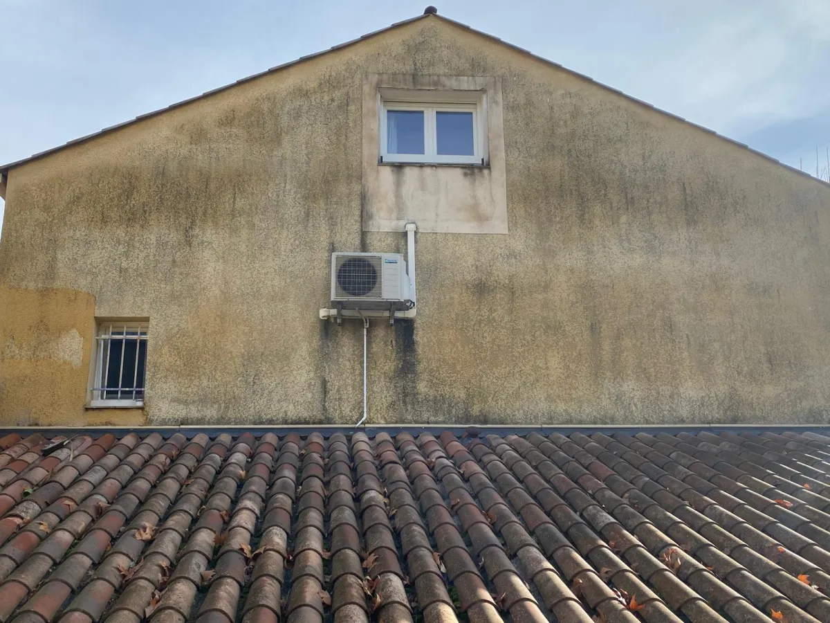 Effets de la mousse sur une toiture et risques d’infiltration