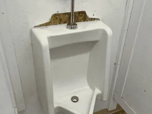 {{ custom_values.service_1 }} in {{custom_values.area_2})