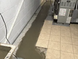 Plumbing in Ricelake