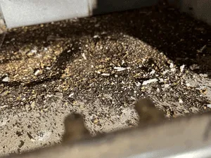 {{ custom_values.service_3 }} in {{custom_values.area_5})