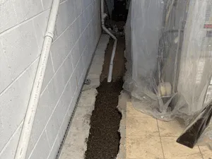 {{ custom_values.service_2 }} in {{custom_values.area_5})