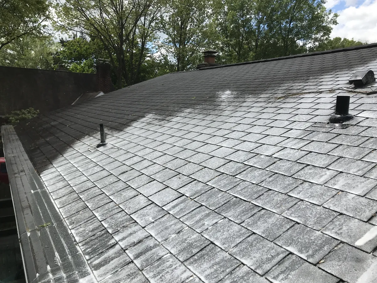 Brick Paver Cleaning in Lakeland