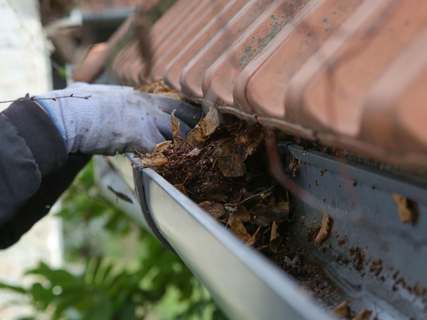 Gutter Cleaning Service in Lakeland