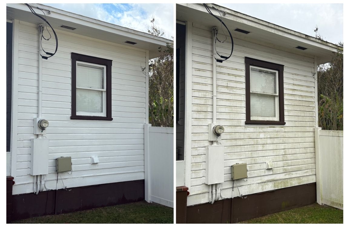 Roof Washing in Lakeland
