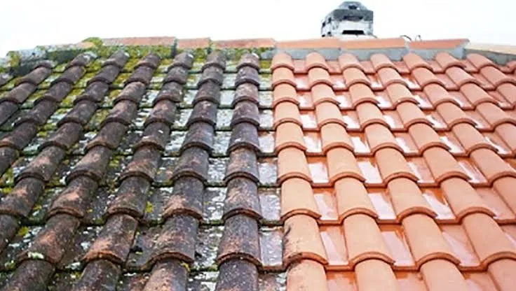 Certified soft wash roof cleaning protecting Lakeland home without damaging shingles
