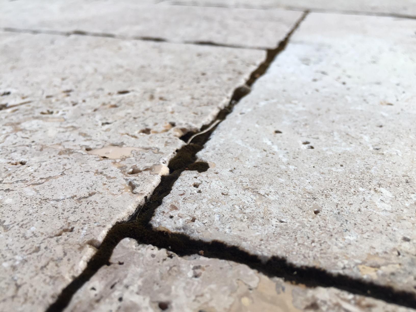 Low-pressure soft wash equipment used for safe roof cleaning in Lakeland