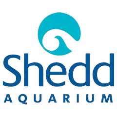 Logo 5