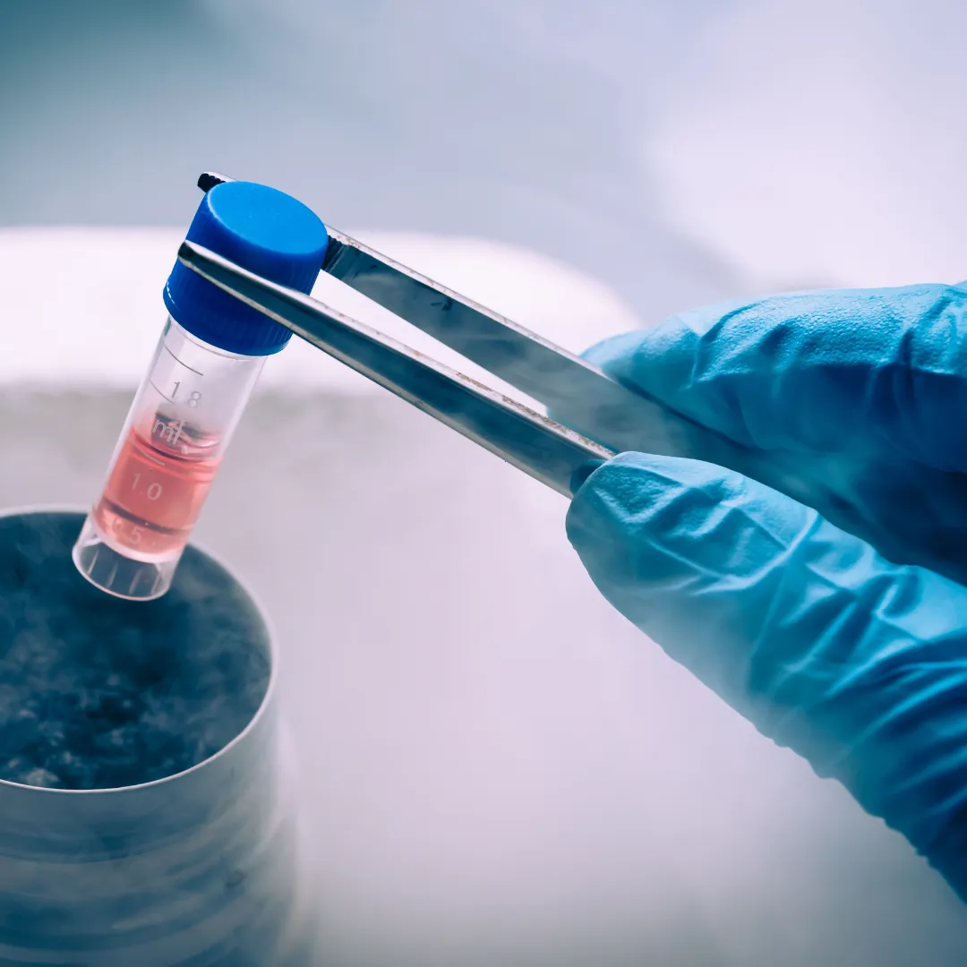 stem cells