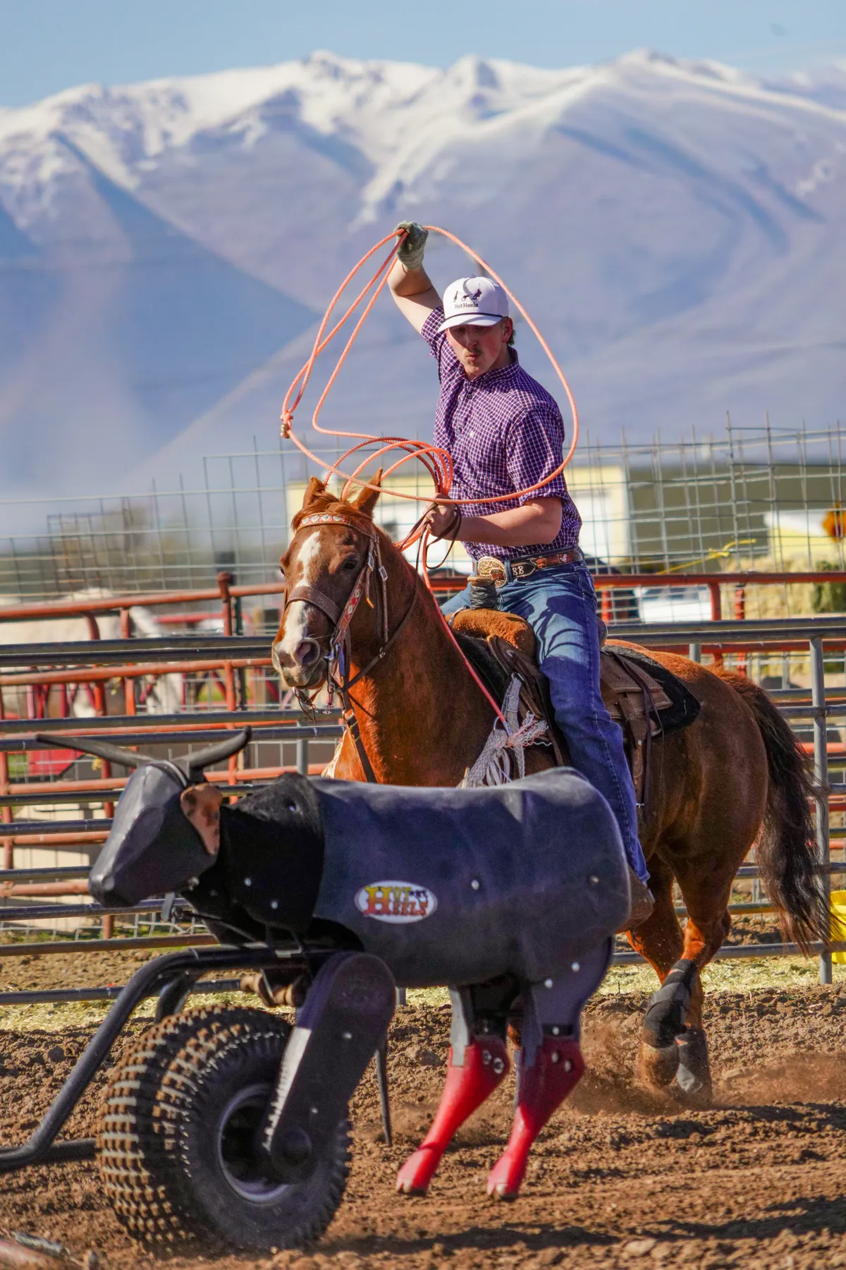 team roping dummy on wheels