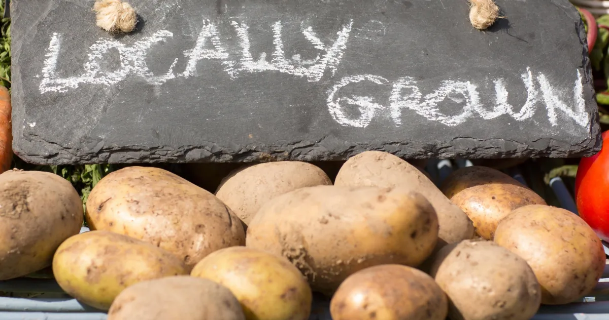 Locally Grown delta potatoes used to make fresh chips, fries