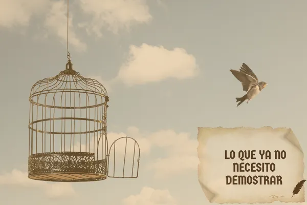 Guia