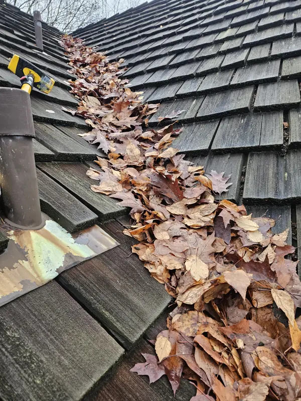 Gutter Cleaning Cost in Metro Vancouver (2026)