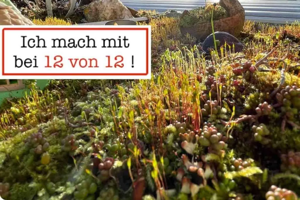 Kerstin Waterman | 12 von 12 im März – Alltag und Geschenke