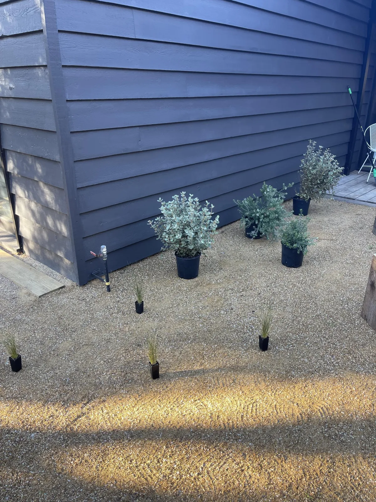 A close up of a pink flower with green leaves