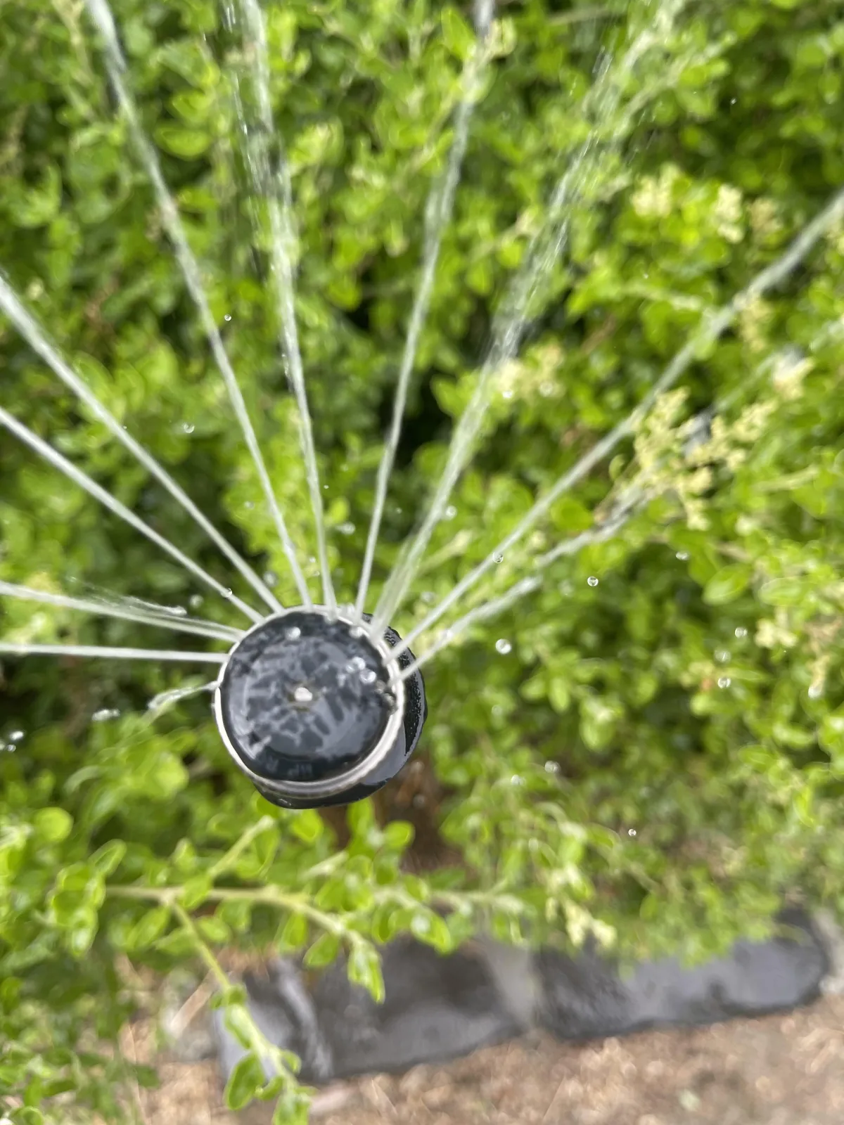 brown concrete fountain during daytime