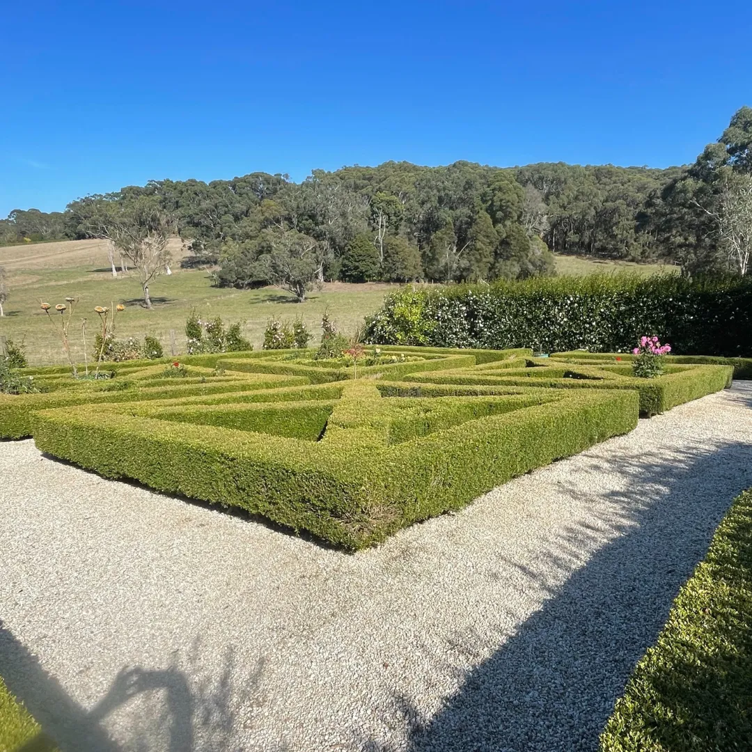 A wall covered in lots of green and red leaves