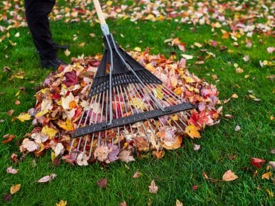 General Yard Cleanup & Haul-Away in Bremerton