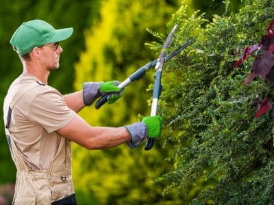 Fertilization & Lawn Treatment in Bremerton