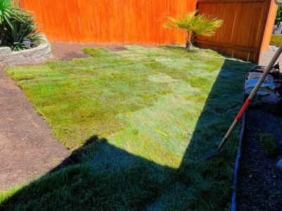 Backyard Landscaping / Complete Landscaping Projects Bremerton