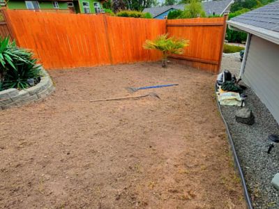 Fertilization & Lawn Treatment Bremerton