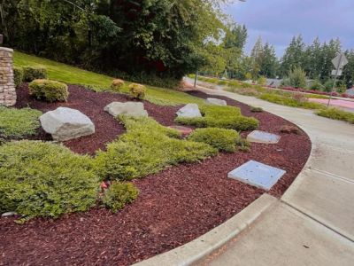 Tree Pruning & Trimming in Bremerton
