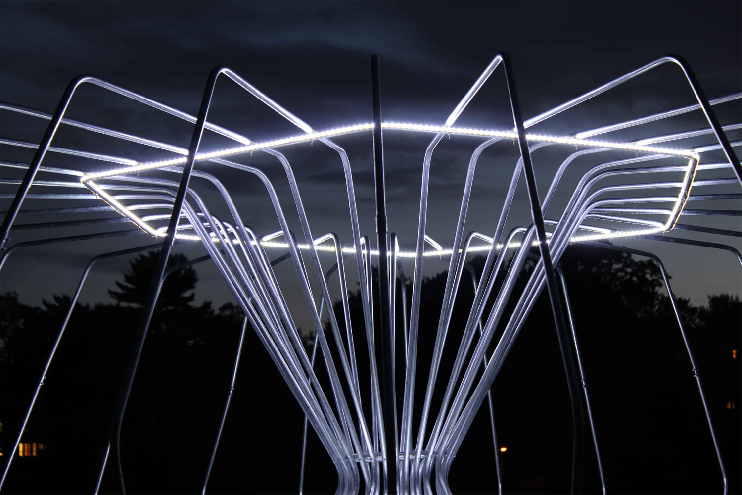 Torus