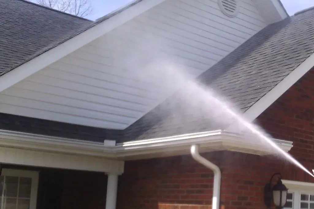 Roof Cleaning