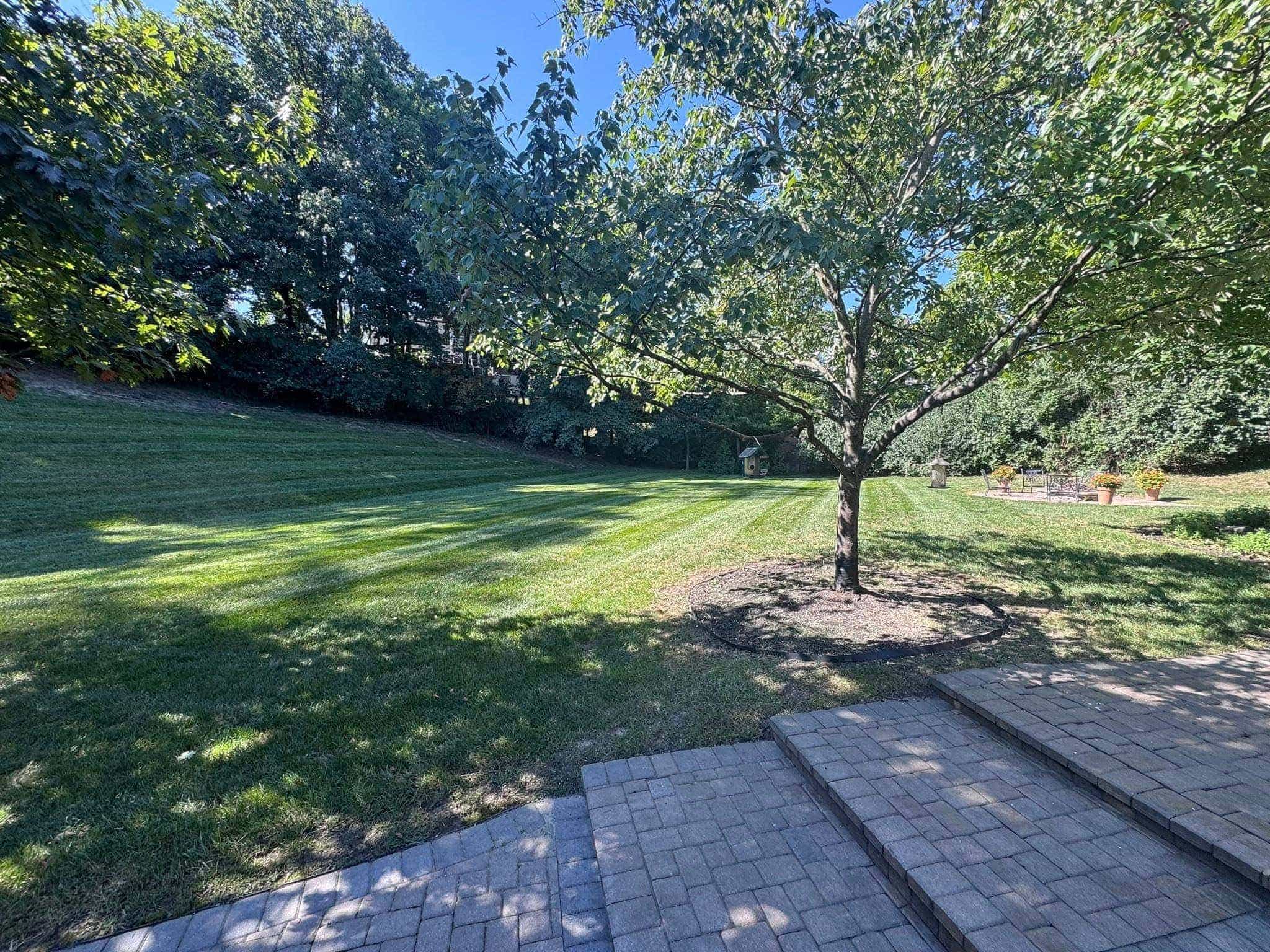 Clean backyard lawn with patio, shade trees, and maintained grass serviced by Earl’s Lawn Service in Fort Wright, Kentucky.