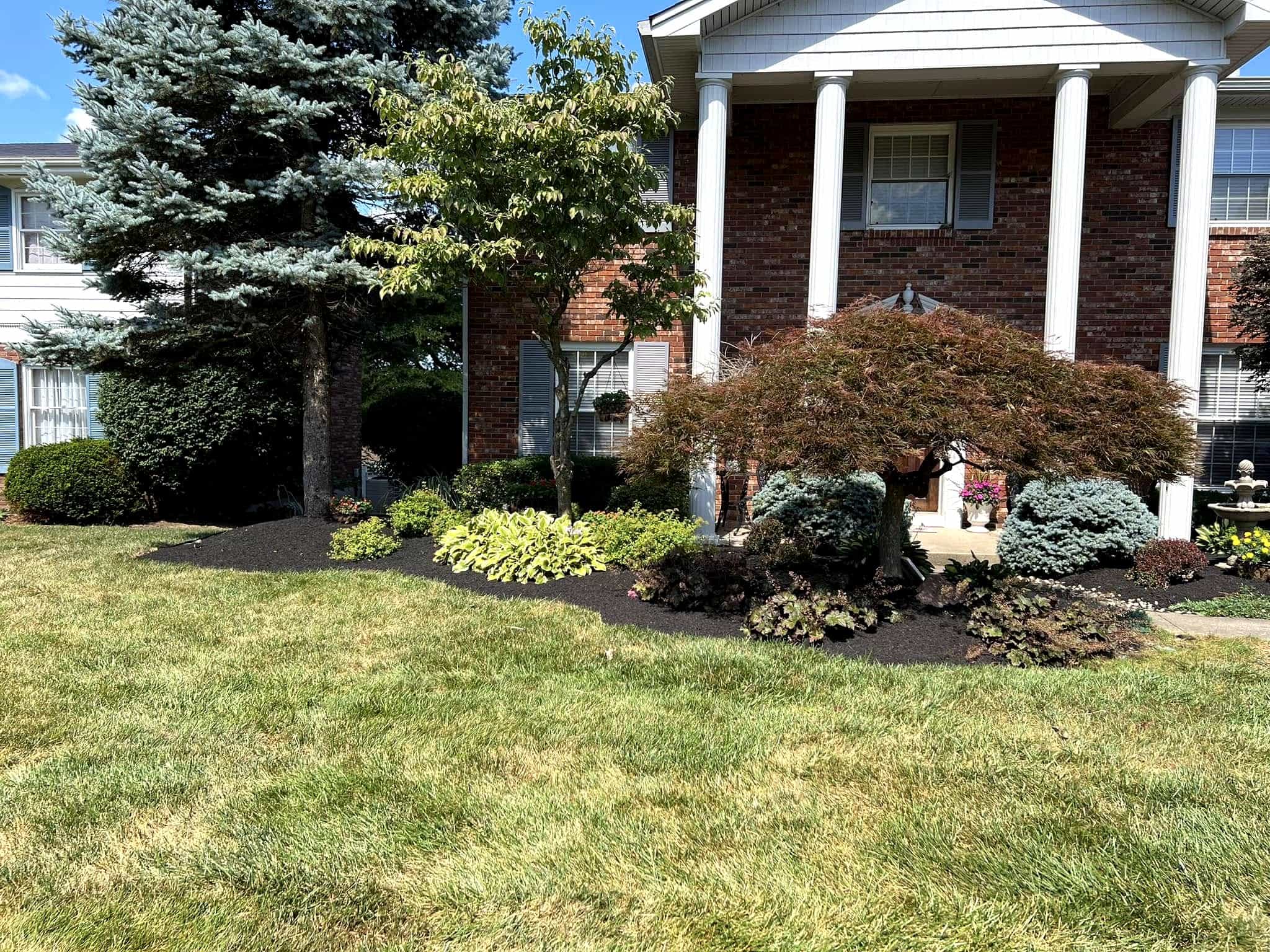 Front yard ornamental landscaping with fresh mulch, mature shrubs, ornamental trees, and maintained landscape beds by Earl’s Lawn Service in Villa Hills, Kentucky.