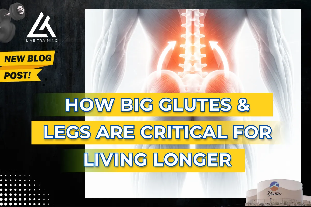 14. How Big Glutes & Legs Help You Live Longer