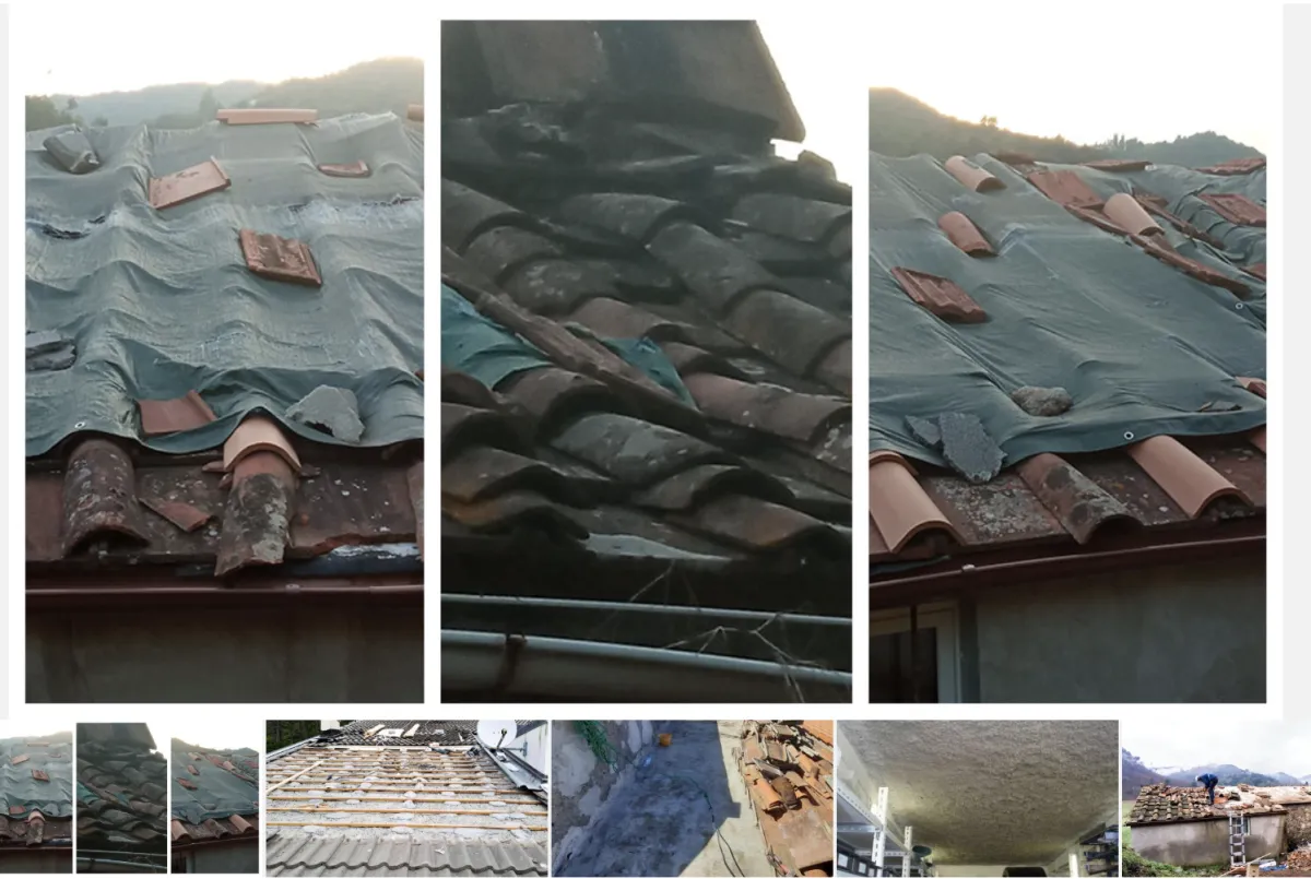 The roof of a house with a thatched roof