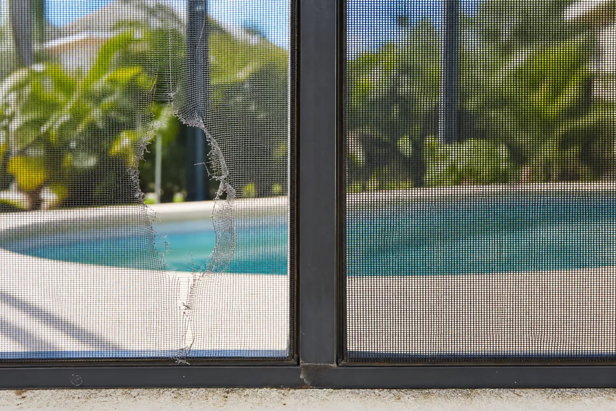 Torn screen panel requiring replacement