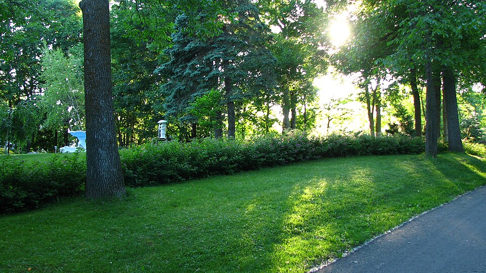 Groupe GP Extermination - Extermination - Bois des fillions Québec