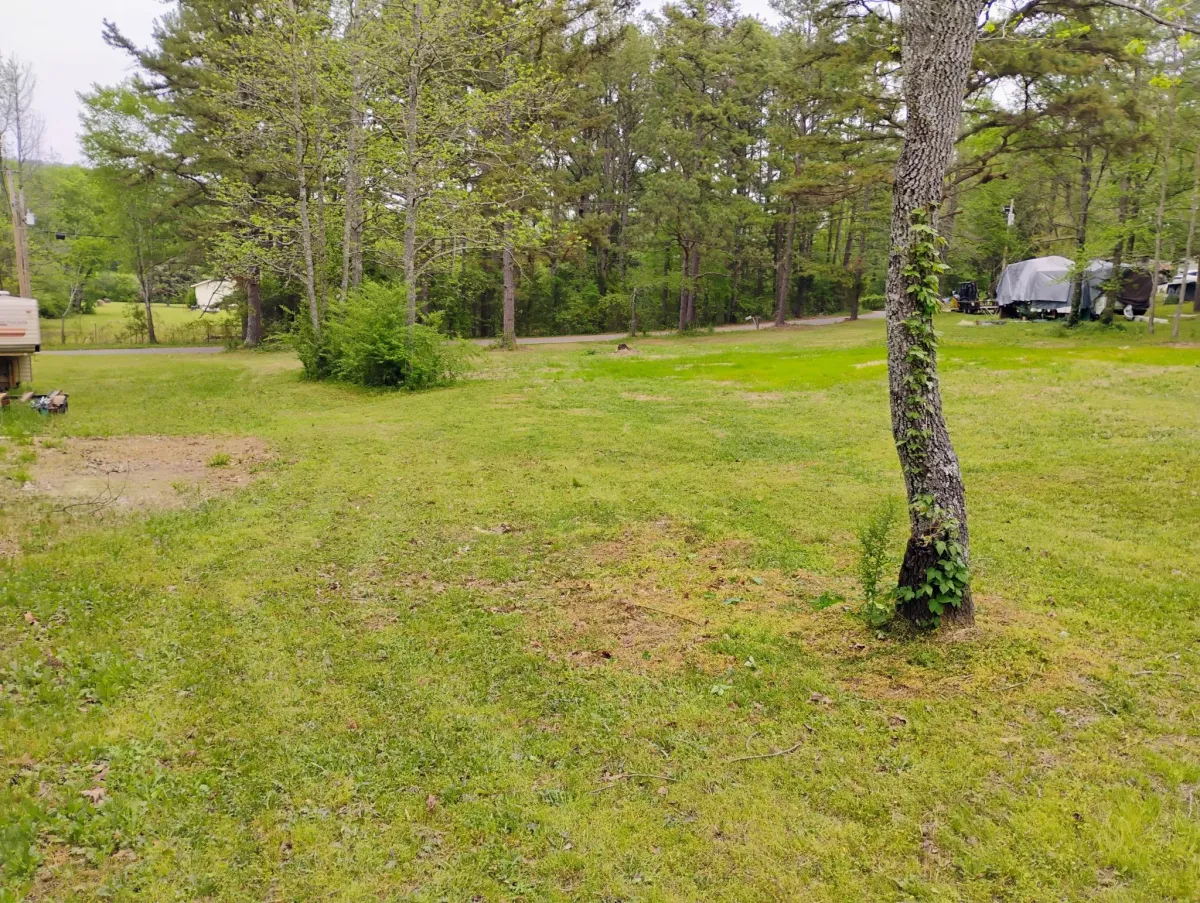 Freshly mowed green lawn in a Hot Springs neighborhood