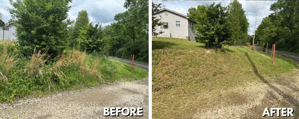 Side-by-side image showing an overgrown yard and the same yard cleared of brush in Hot Springs
