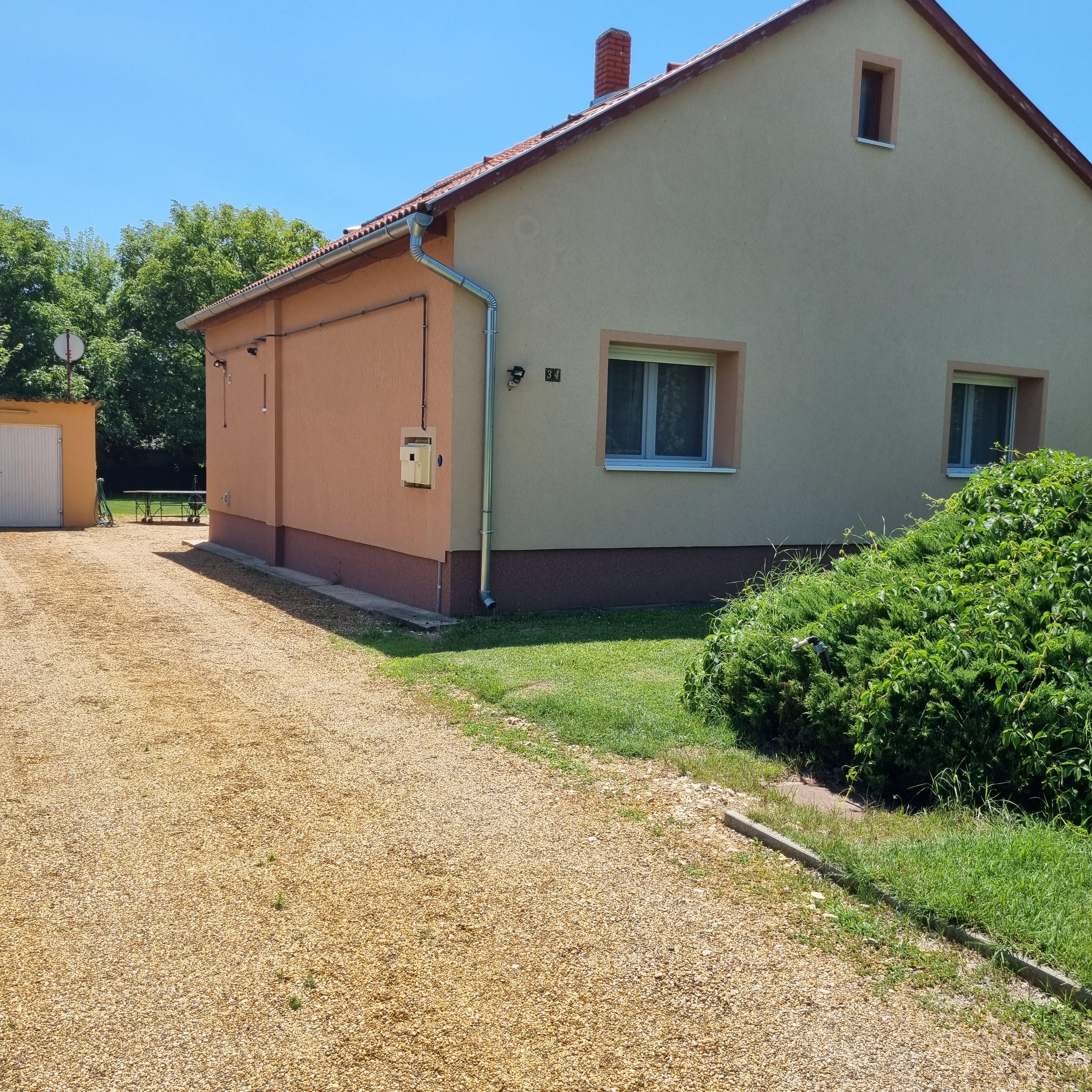 the sun shines through the leaves of a tree