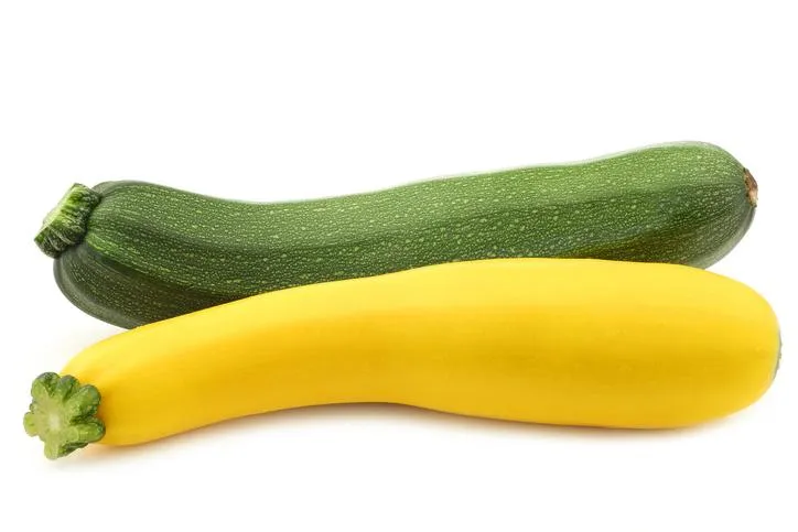 summer squash